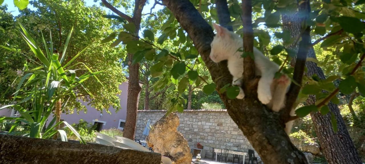 Azienda Agrituristica La Torretta Tocco da Casauria Ngoại thất bức ảnh