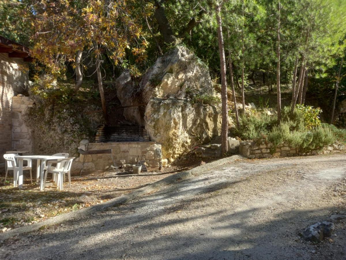Azienda Agrituristica La Torretta Tocco da Casauria Ngoại thất bức ảnh